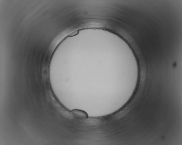 X0000115771473200912241739