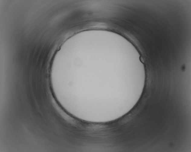 X0000115771475200912241739
