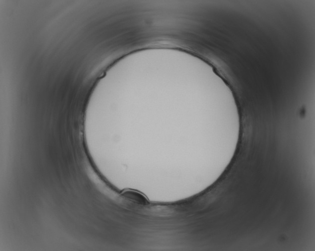 X0000115771476200912241739