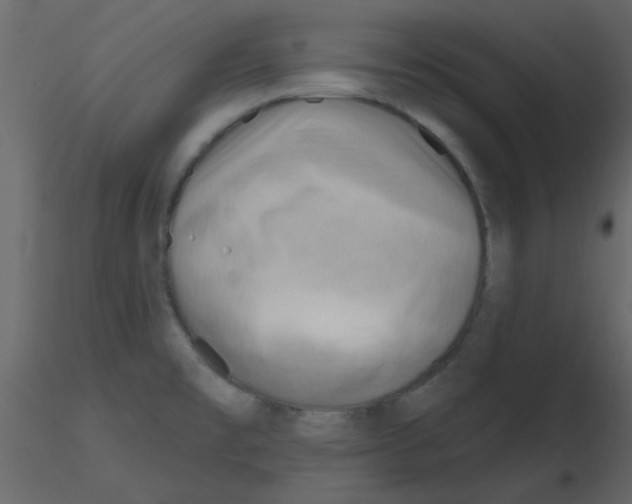 X0000115771477200912241739