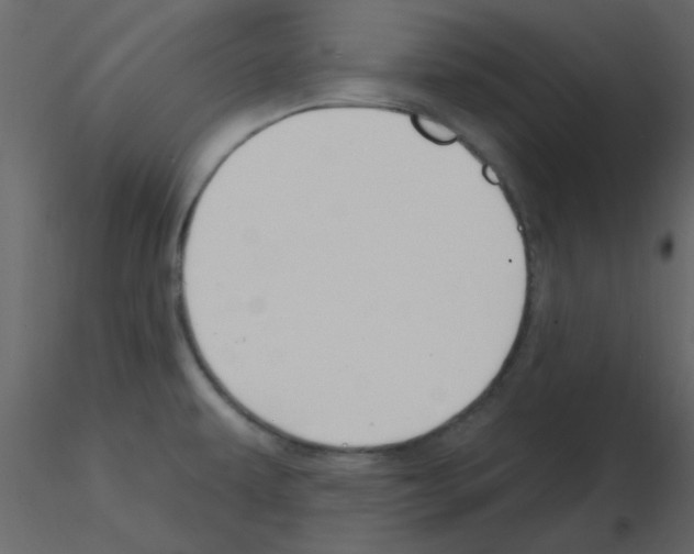 X0000115771479200912241739