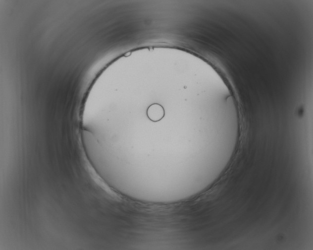 X0000115771480200912241739