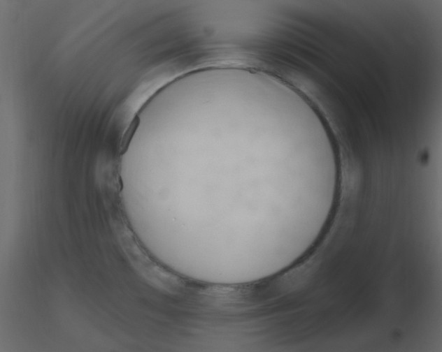 X0000115771481200912241739