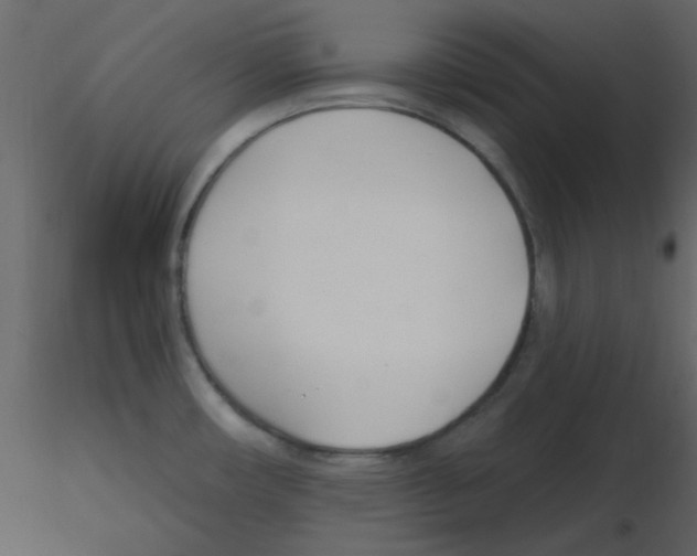 X0000115771482200912241739