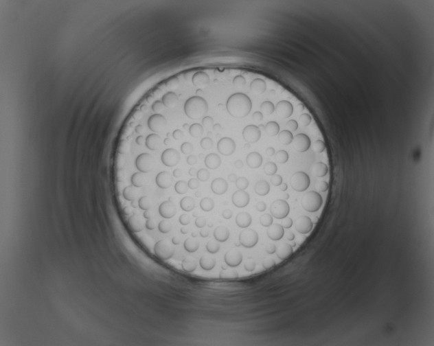 X0000115771483200912241739