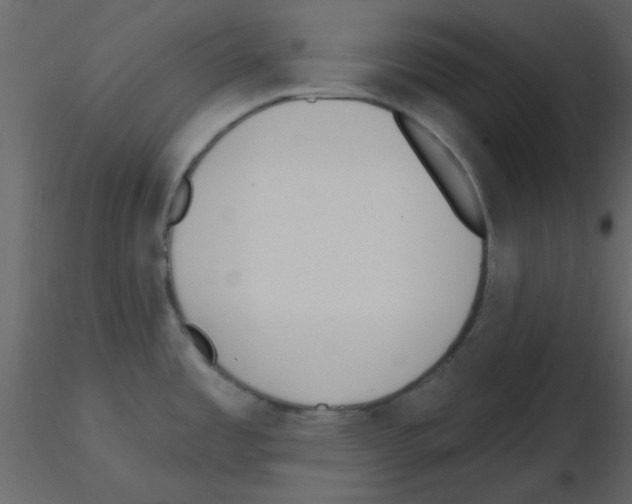 X0000115771485200912241739