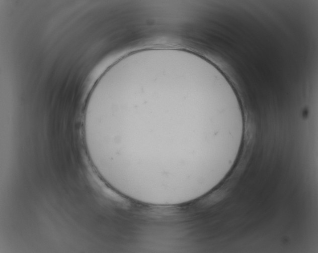 X0000115771486200912241739