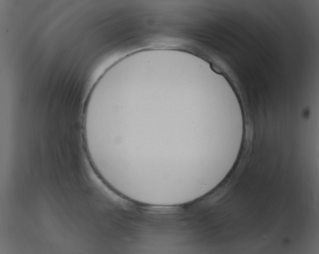 X0000115771487200912241739