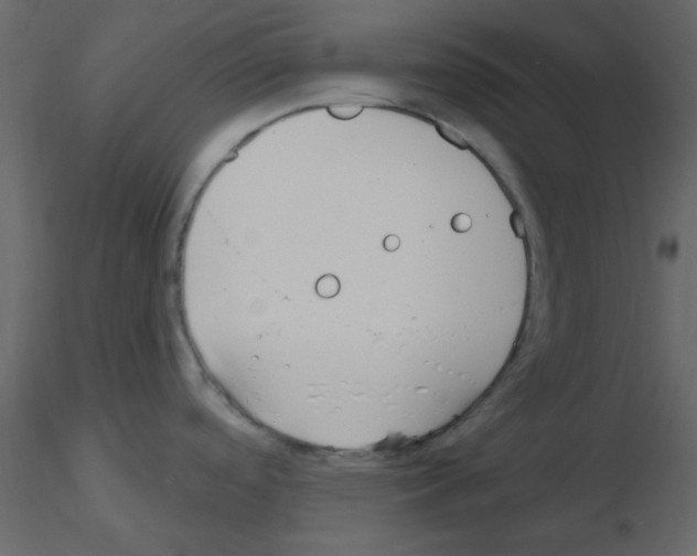 X0000115771488200912241739