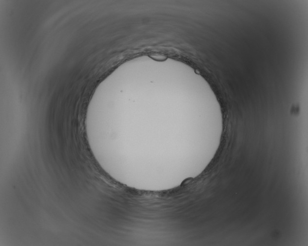 X0000115771489200912241739