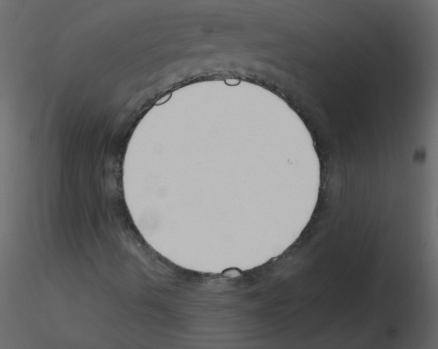 X0000115771490200912241739