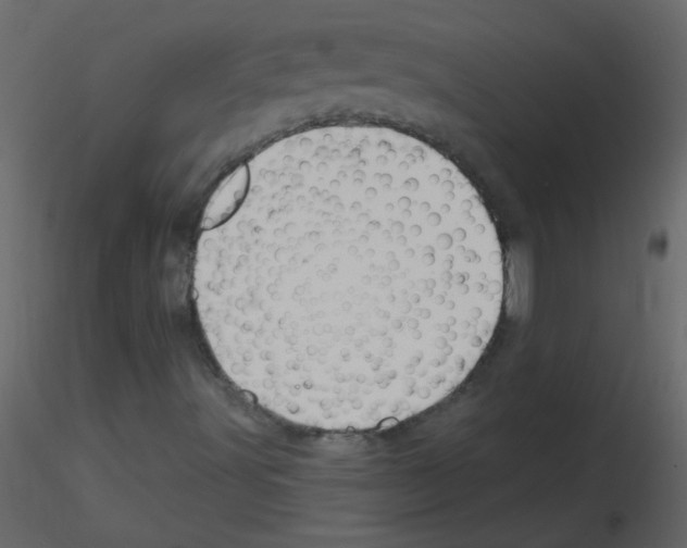 X0000115771491200912241739
