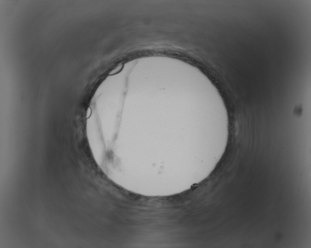 X0000115771493200912241739
