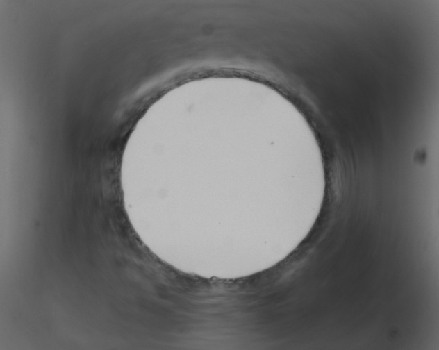 X0000115771494200912241739