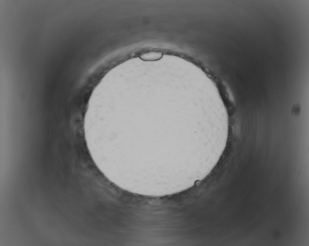 X0000115771495200912241739