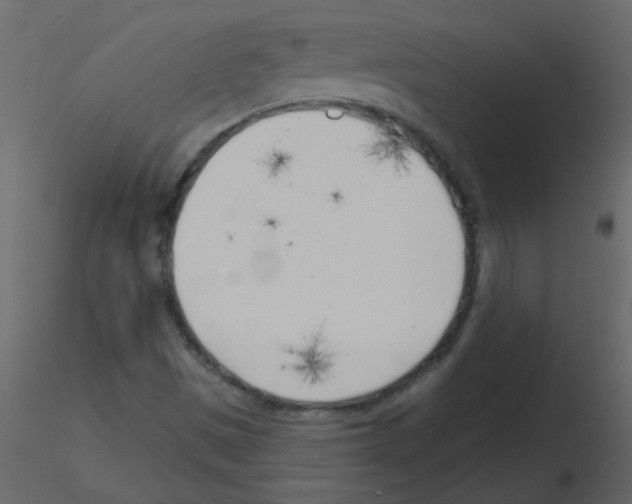 X0000115771497200912241739