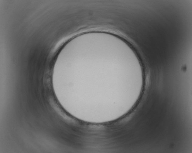 X0000115771498200912241739