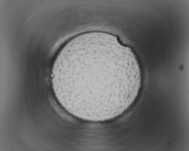 X0000115771499200912241739