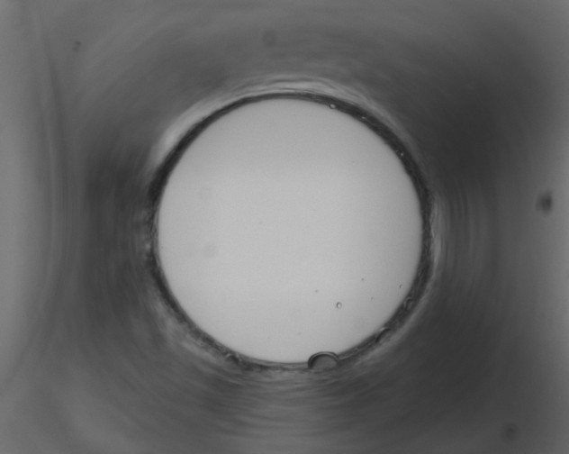X0000115771501200912241739