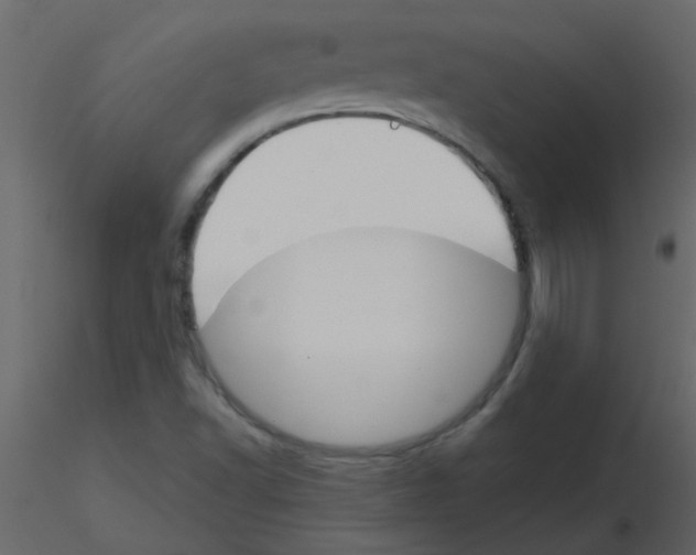 X0000115771502200912241739