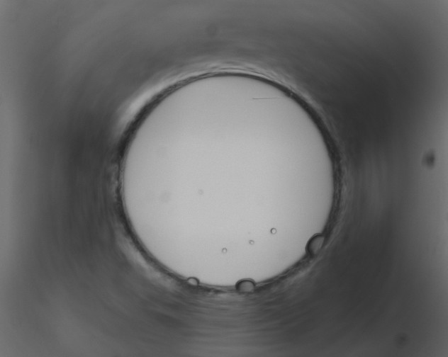 X0000115771503200912241739
