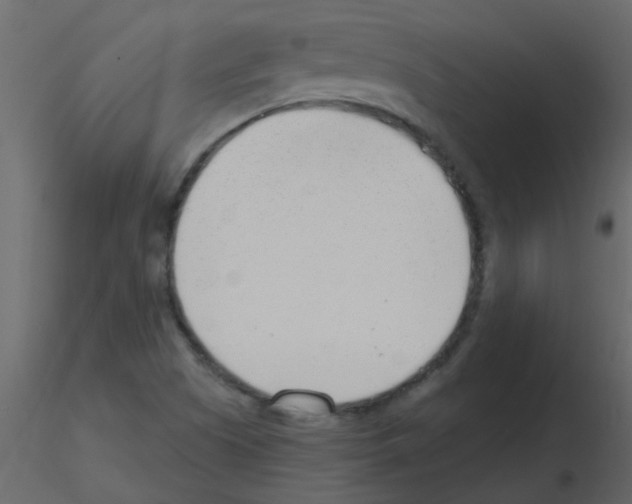 X0000115771505200912241739