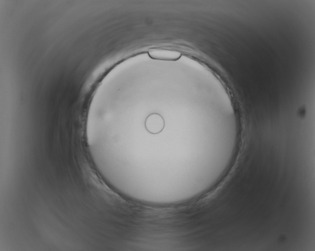 X0000115771506200912241739