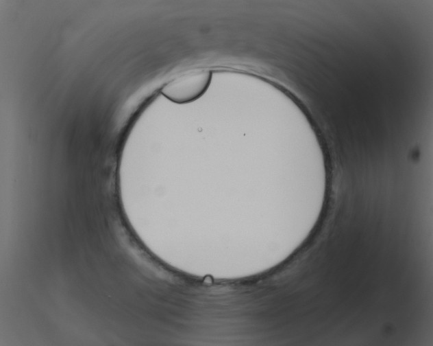 X0000115771507200912241739