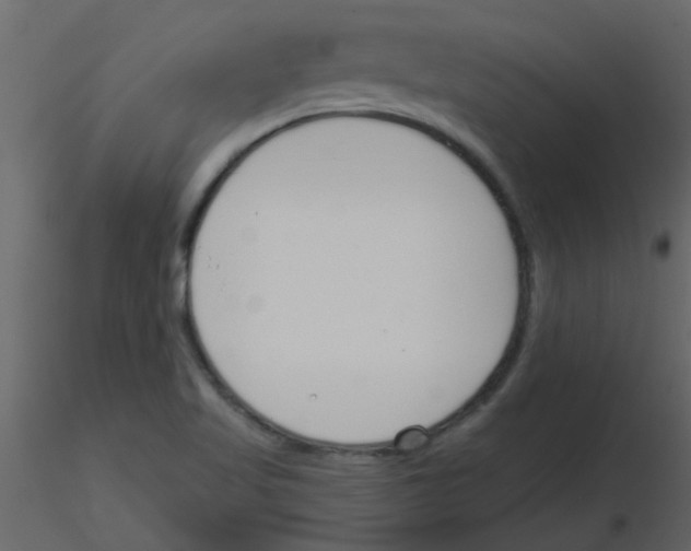 X0000115771509200912241739