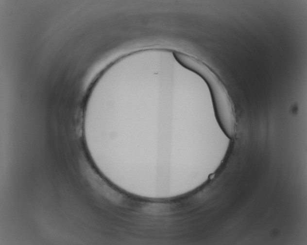 X0000115771510200912241739