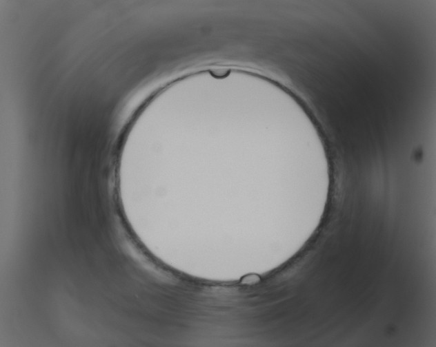 X0000115771511200912241739