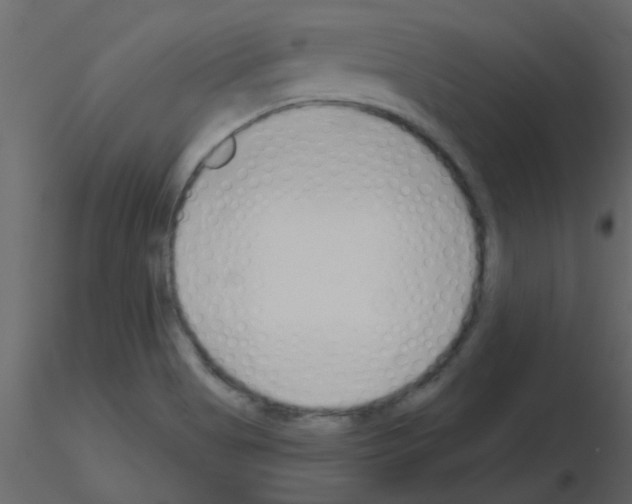 X0000115771513200912241739
