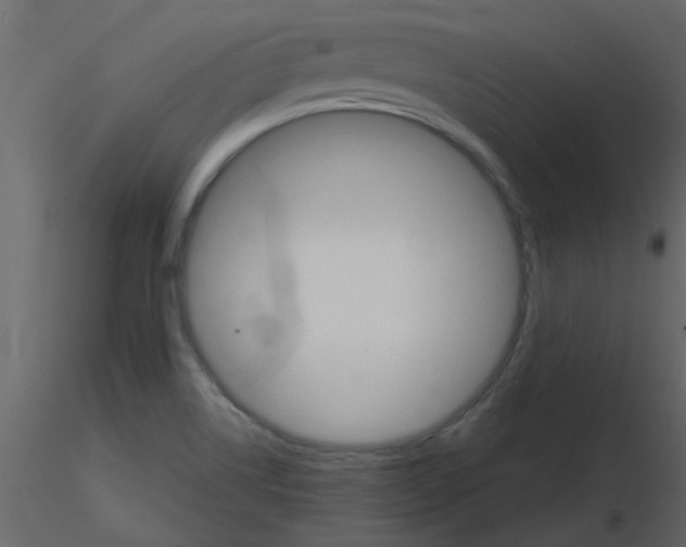 X0000115771514200912241739