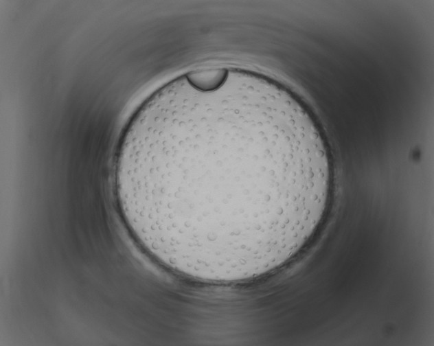 X0000115771517200912241739