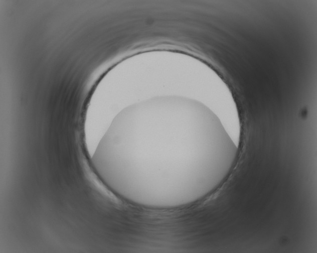 X0000115771518200912241739