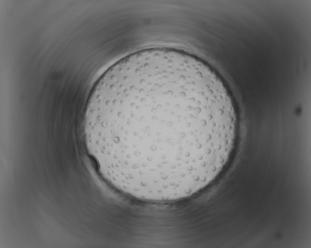X0000115771521200912241739