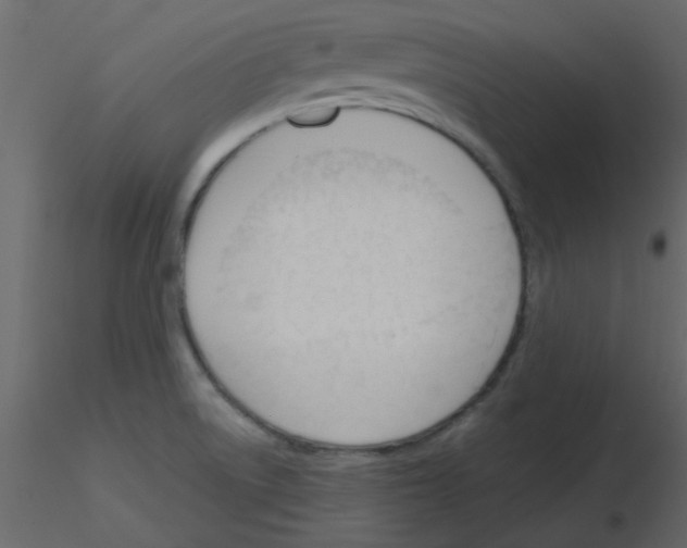 X0000115771522200912241739