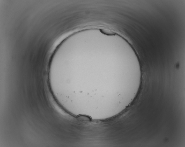 X0000115771523200912241739