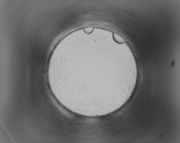 X0000115771525200912241739