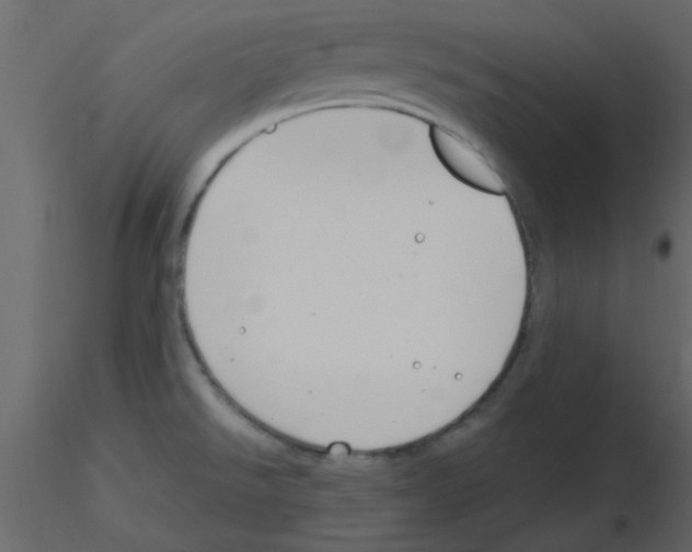 X0000115771526200912241739