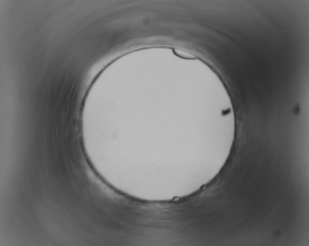 X0000115771527200912241739
