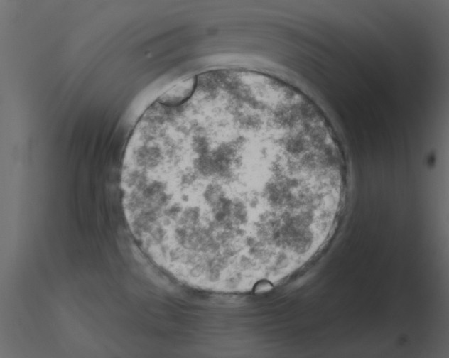 X0000115771529200912241739