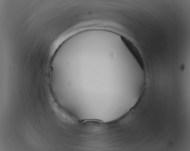 X0000115771530200912241739