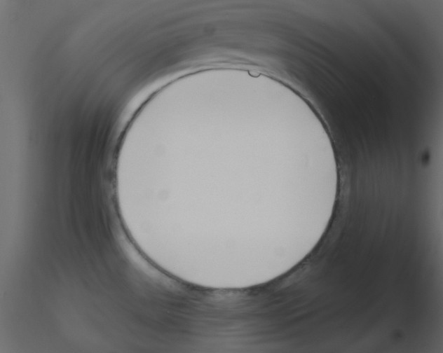 X0000115771531200912241739