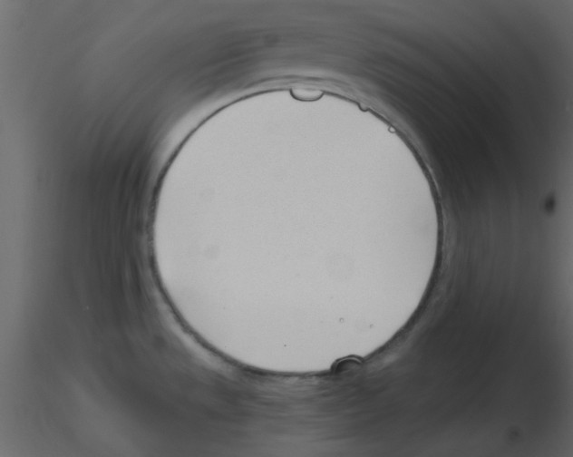 X0000115771533200912241739