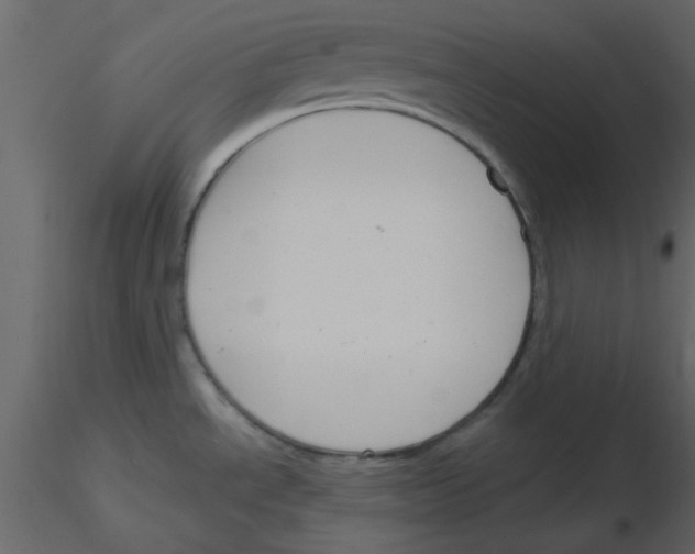 X0000115771534200912241739