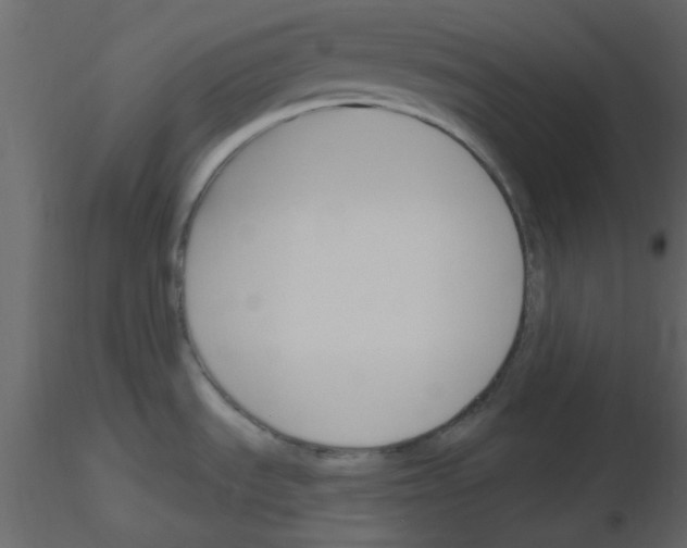 X0000115771535200912241739