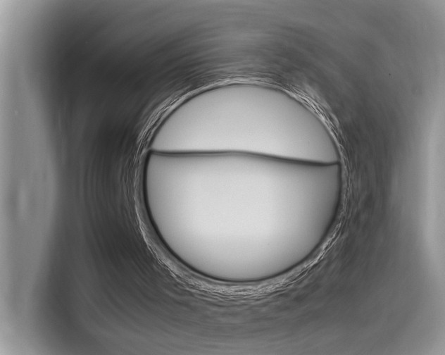 X0000115780001200911131015