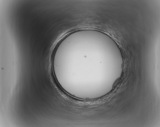 X0000115780005200911131015