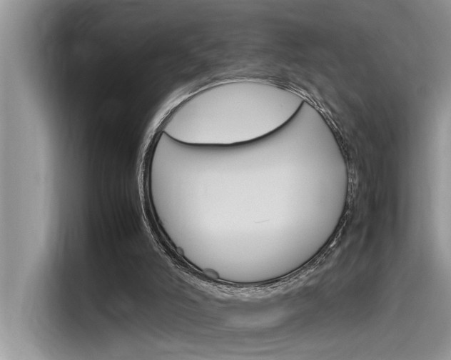 X0000115780006200911131015